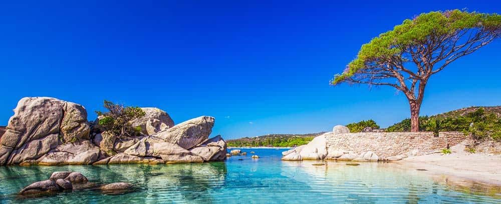 Sardaigne - Pin parasol, plage et mer turquoise