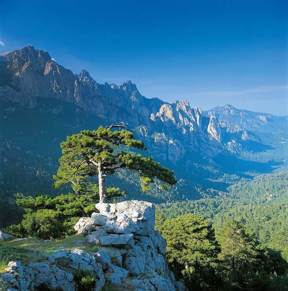Supramonte, Sardaigne